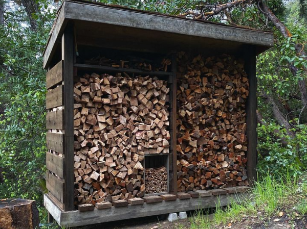 Gudang penyimpanan kayu bak batang pohon